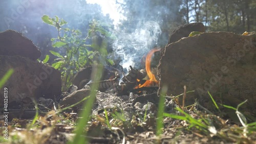 Fogata en medio del bosque, el fuego acompañado de la tranquilidad del bosque. photo