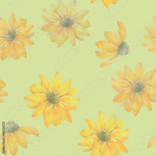 Wallpaper Mural Rudbeckia flower pattern. Botanical seamless pattern for wallpaper, textile, wrapping paper, design. Bright, trendy abstract flower ornament. Torontodigital.ca