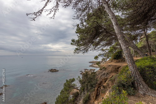 Mediterranean Sea  Spain  Costa Brava. Picturesque landscape with azure sea. Pine trees on the shores of the azure coast. A beautiful beach with lush greenery.