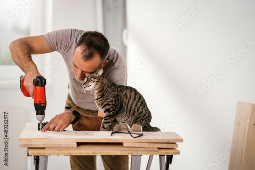 Canvas Print The man folds the furniture while his cat sits next to him and cuddles up