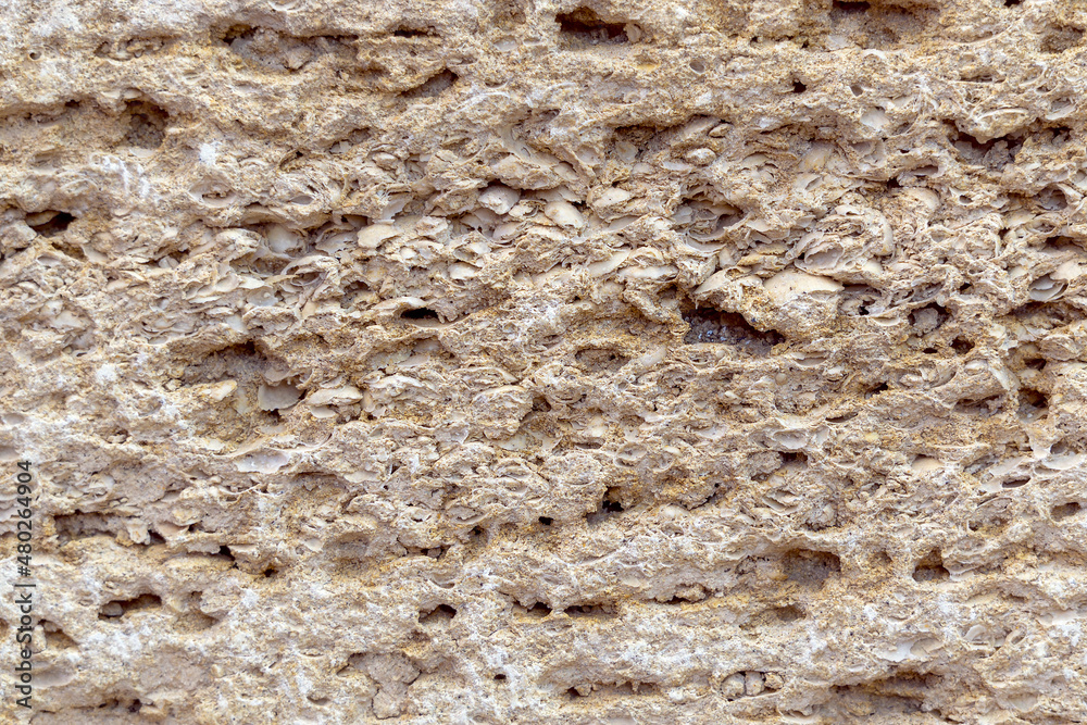 A section of sandstone photographed in close-up. Building material. The building block is made of sandstone. A section of sandstone photographed in close-up. Building material. The building block is made of sandstone.