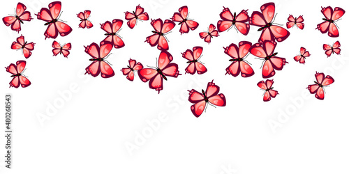 Exotic red butterflies isolated vector illustration. Spring cute insects. Detailed butterflies isolated baby background. Delicate wings moths graphic design. Tropical creatures.