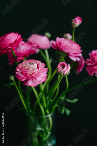 The ranunculi are pink on a black background. Spring bouquet for birthday, Mother's Day, March 8, International Women's Day, anniversary. Happy Valentine's Day. Vertical image.