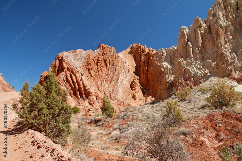Fototapeta premium Cotton Wood Canyon Road Views