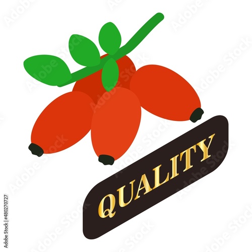 Wild rosehip icon isometric vector. Red ripe dog rose fruit and quality sign. Autumn harvest, quality mark