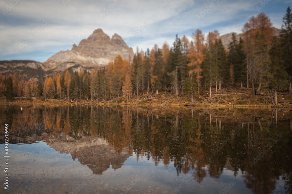 Reflection of autumnal larches on Lake Antorno, with the Tre Cime di Lavaredo in the background, Dolomites, Italy. Tilt shift effect photo