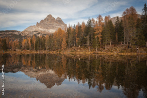 Reflection of autumnal larches on Lake Antorno, with the Tre Cime di Lavaredo in the background, Dolomites, Italy. Tilt shift effect photo