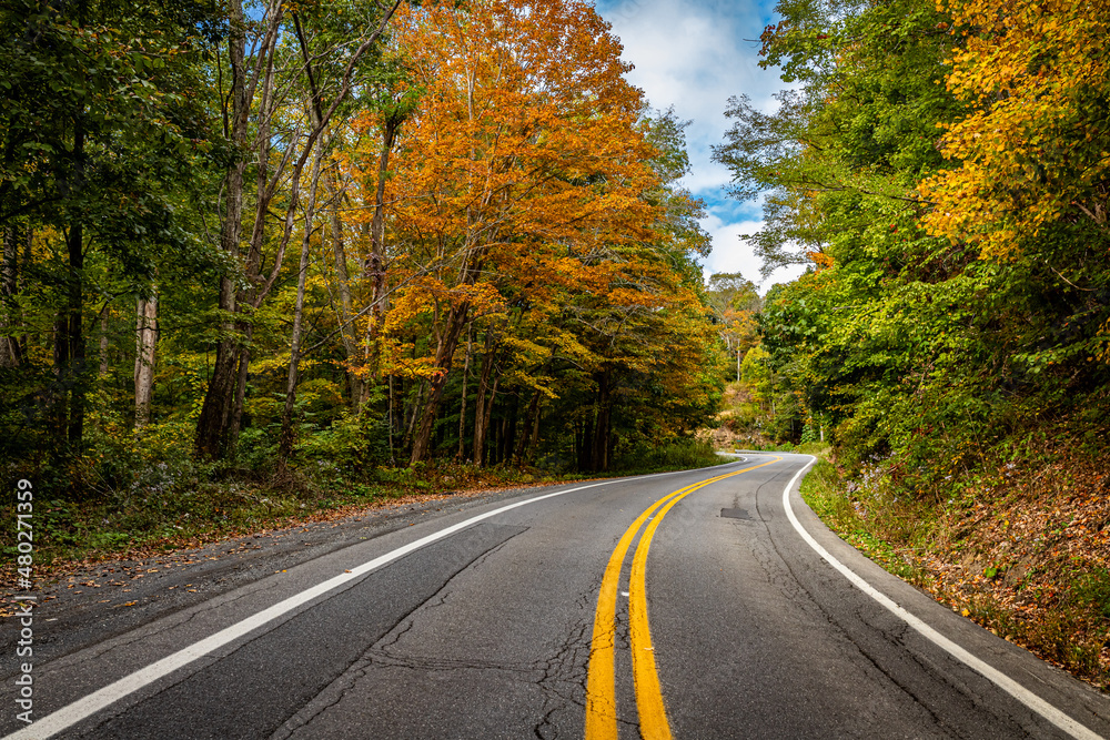 Winding Country Road in West Virginia