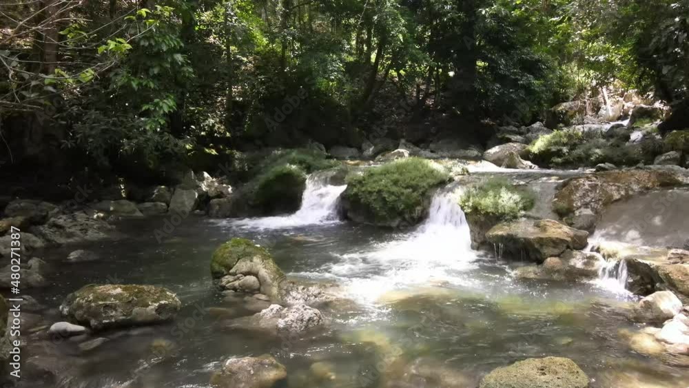a little river in the wood a little river in the wood