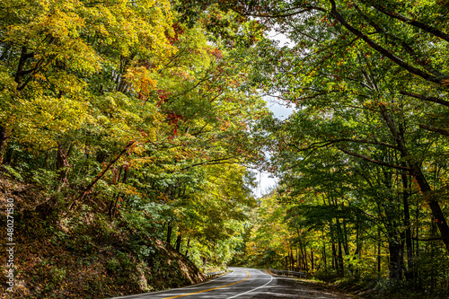 Winding Country Road in West Virginia