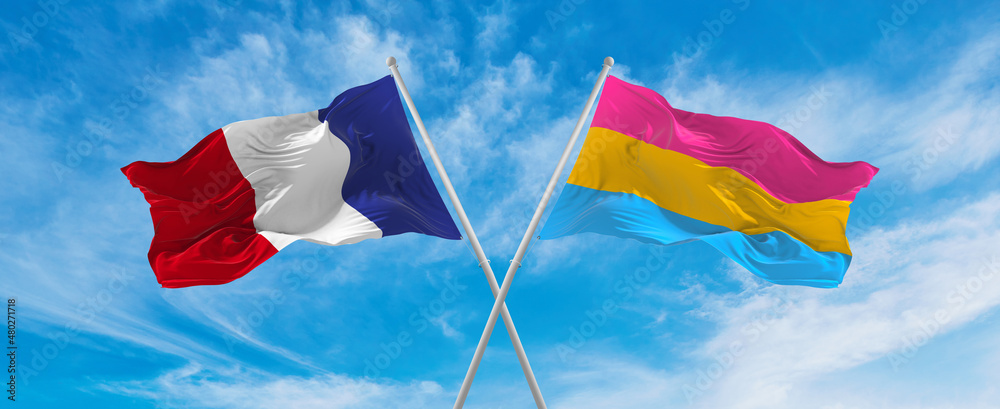 crossed national flags of France and Pansexuality Pride flag waving in ...
