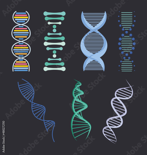 Dna strands icon set