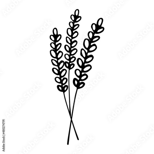 Graphic lavender set in one line style
