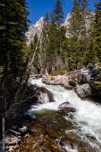Near Hidden Falls on Cascade Creek  Grand Teton National Park  Jackson Hole  Wyoming at the end of May