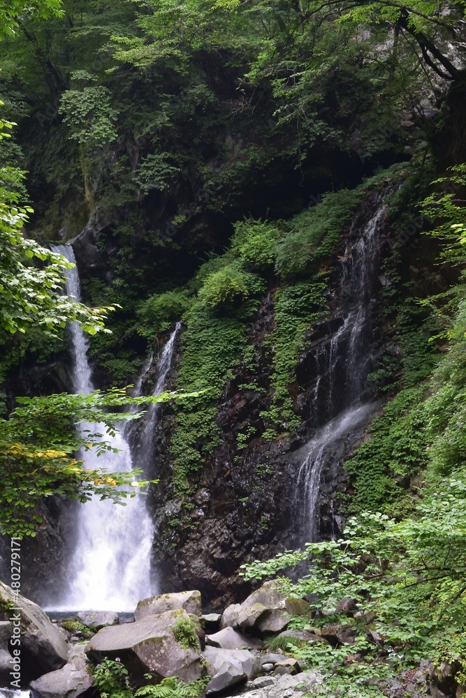 Naklejka premium Urami waterfall, Nikko, Tochigi, Japan