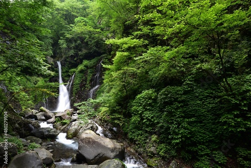 Fototapeta Naklejka Na Ścianę i Meble -  Urami waterfall, Nikko, Tochigi, Japan