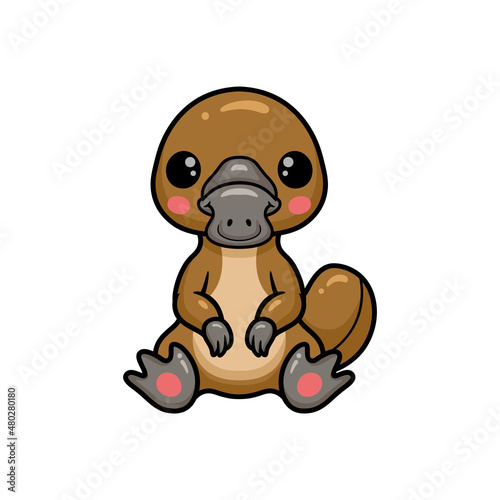 Cute baby platypus cartoon sitting