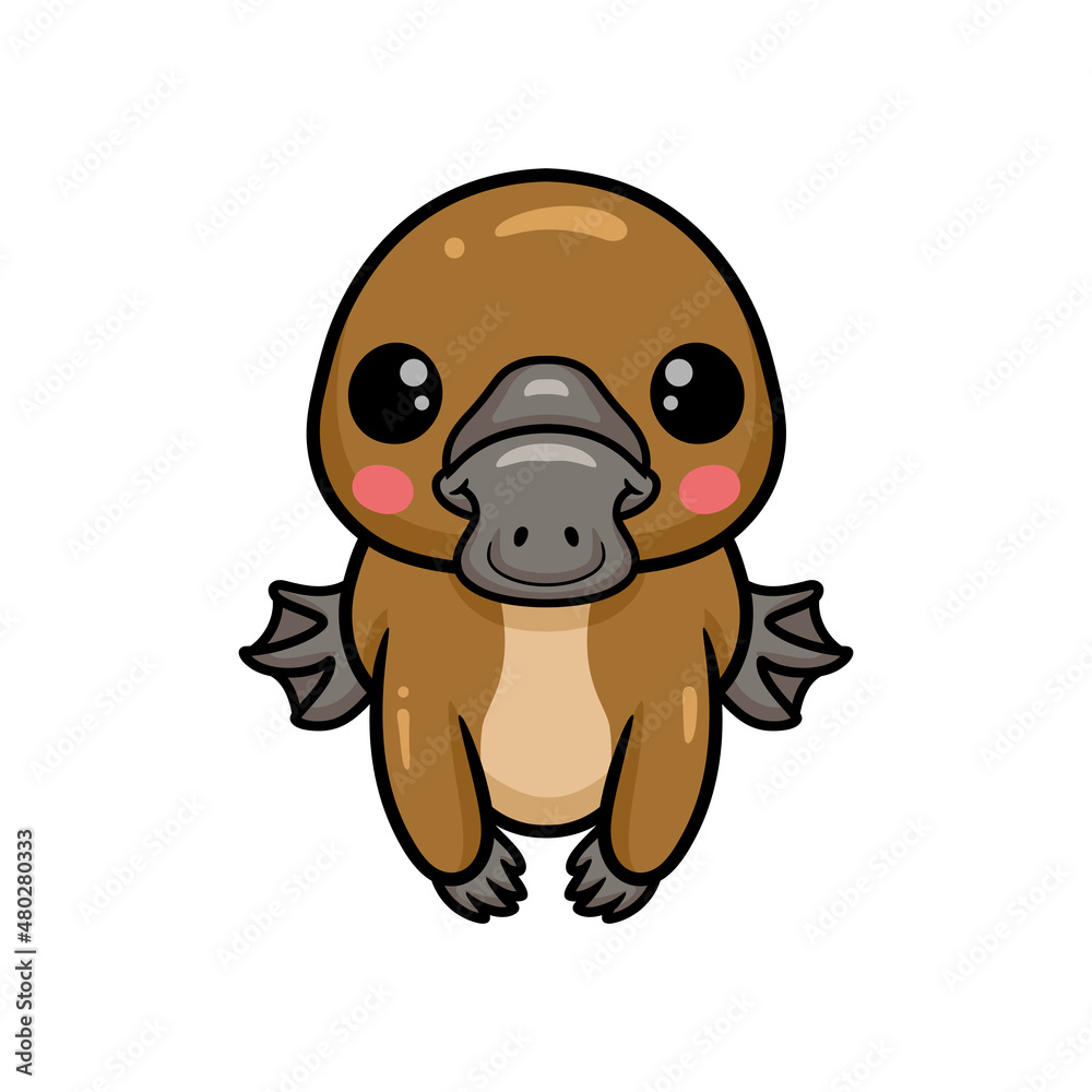 Obraz premium Cute baby platypus cartoon posing
