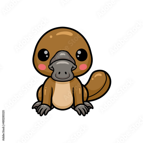 Cute baby platypus cartoon posing
