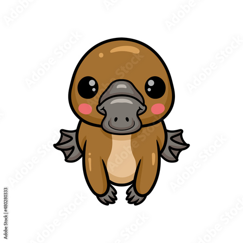 Cute baby platypus cartoon posing