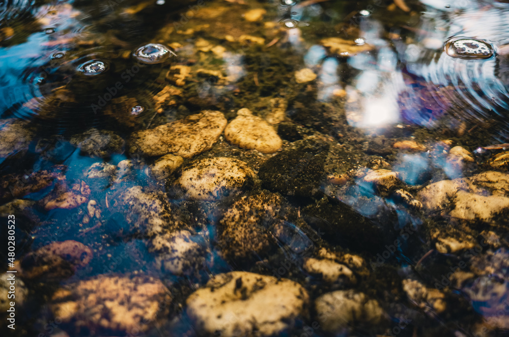 Fototapeta premium Rocks in a pond