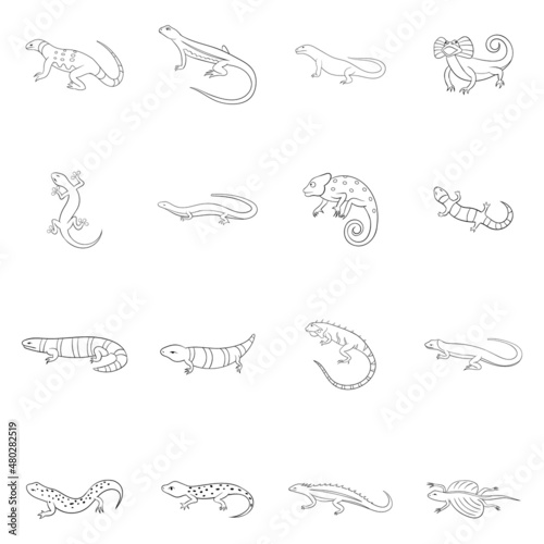 Lizard set icons in outline style isolated on white background