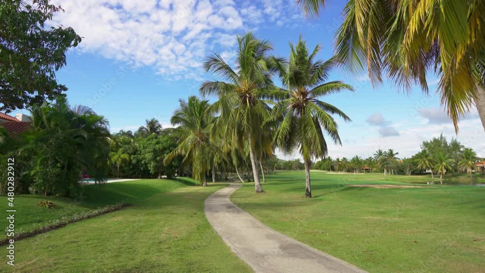 Coconut palms in the golf park on green short cut grass on a sunny morning. Sports recreation in a beautiful tropical golf club in the open air. Bright blue sky over a summer golf club. Coconut palms in the golf park on green short cut grass on a sunny morning. Sports recreation in a beautiful tropical golf club in the open air. Bright blue sky over a summer golf club.