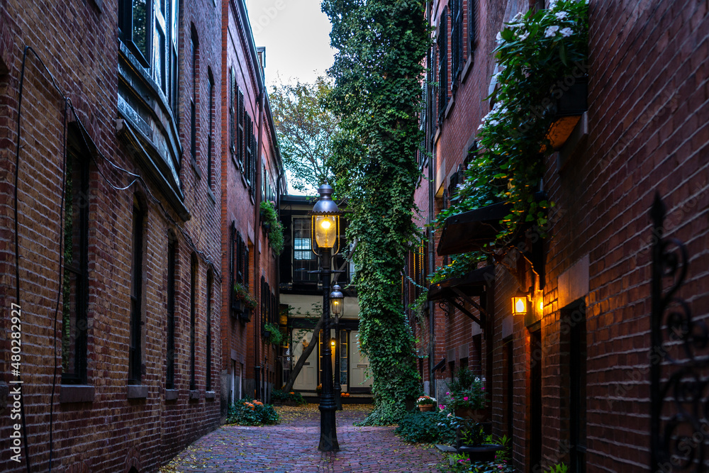 Alley with brownstones on both sides with climbing common ivy and street lamps