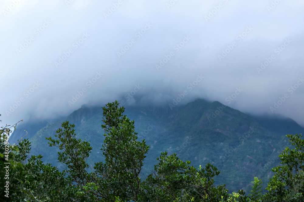 Foggy green mountain tops and nature