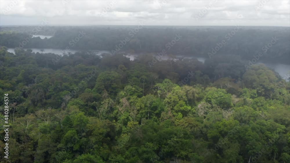 Aerial fly over Amazon jungle to river