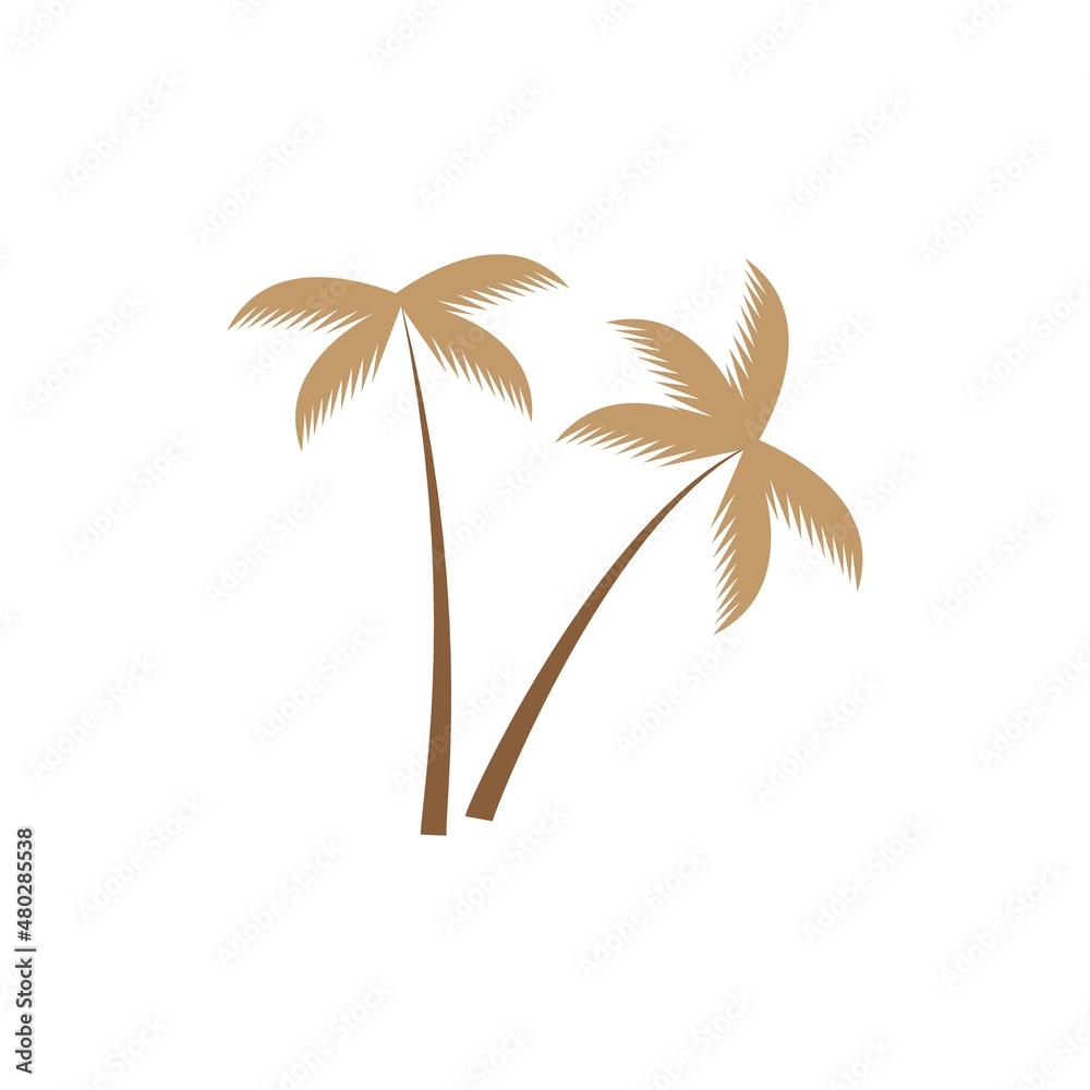 coconut tree icon vector illustration