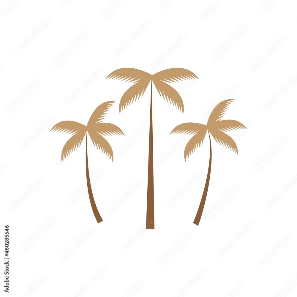 coconut tree icon vector illustration