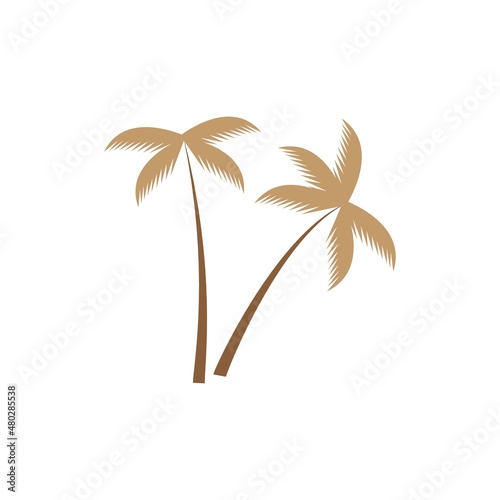 coconut tree icon vector illustration