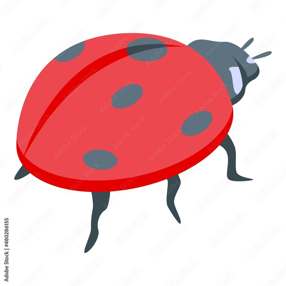 Fototapeta premium Summer ladybug icon isometric vector. Cute bug. Garden beetle
