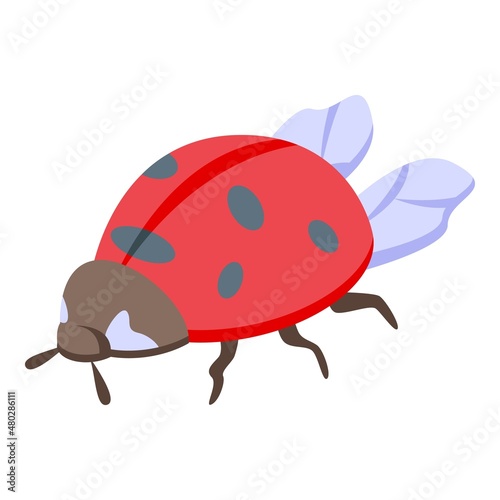 Kid ladybug icon isometric vector. Cute insect. Garden beetle