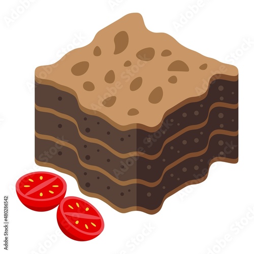 Chocolate lasagne icon isometric vector. Lasagna pasta. Italian food