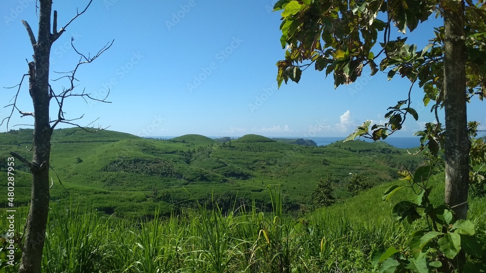 Fototapeta premium Hills near the beach