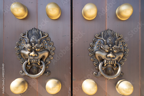 Obraz na plátně dragon head door knocker on a large wooden door