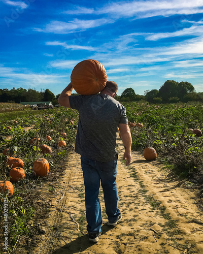 man pumpkin picking in the fall