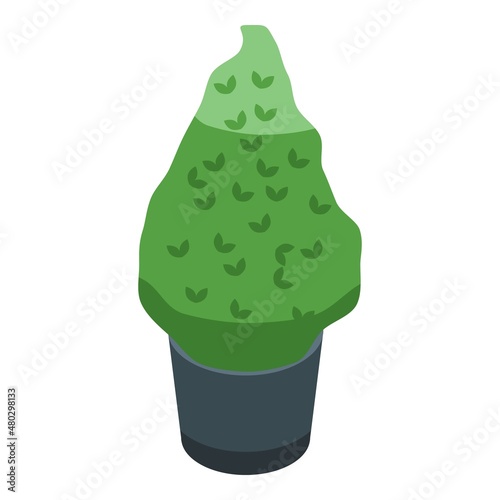 Bush pot icon isometric vector. Tree trim. Garden plant
