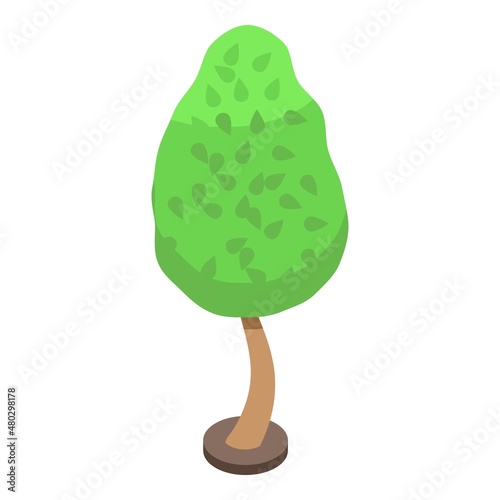 Care garden tree icon isometric vector. Trim plant. Outside yard