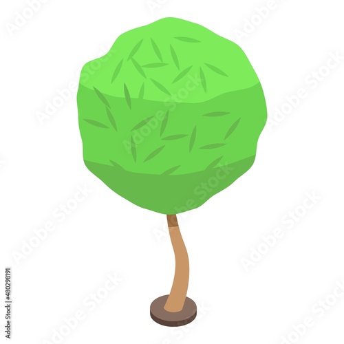 Tree worker icon isometric vector. Garden trim. People plant