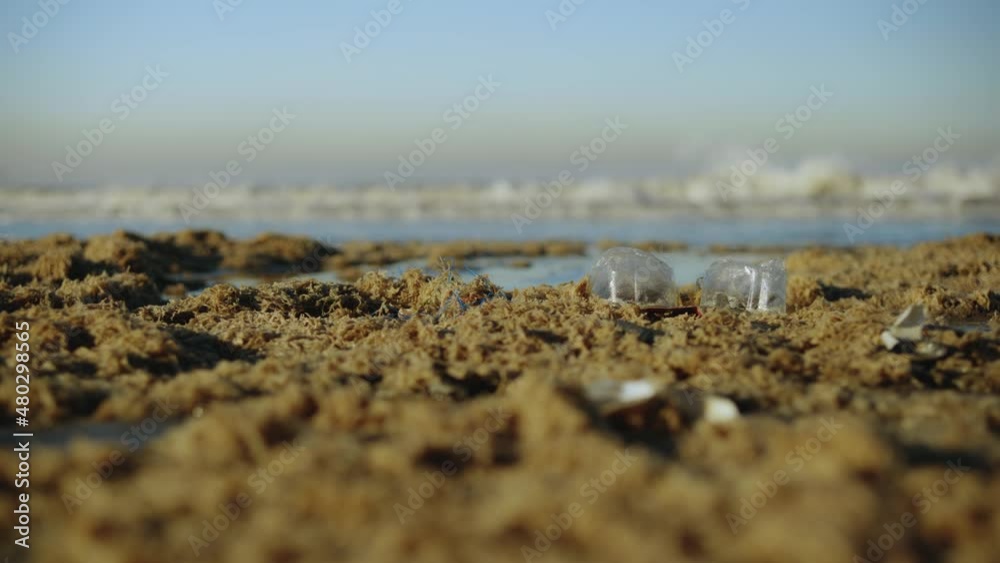 SUNNY WINTER AT THE BEACH IN ROTTERDAM, THE NETHERLANDS SUNNY WINTER AT THE BEACH IN ROTTERDAM, THE NETHERLANDS
