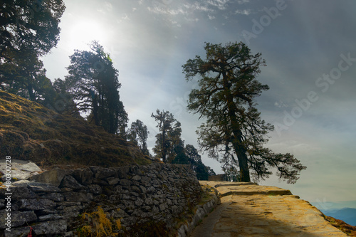 Trekking route to Tunganath temple, uttarahand, India. Beuatiful trees beside the mountain pathway. photo