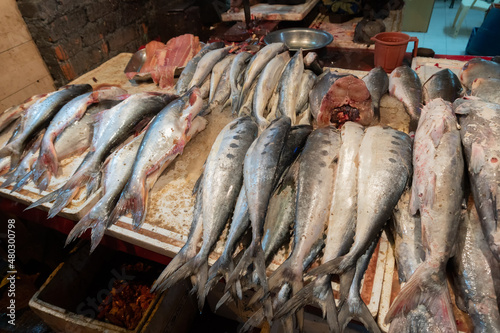 Fresh uncooked fishes at old Delhi market. in evening, India. The place is famous for delicious foods with nice fish dishes.