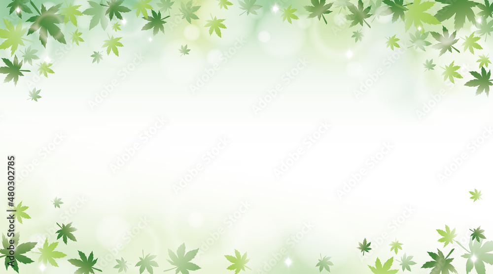  Green maple leaves with sunlight background