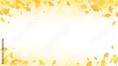  Yellow gingko leaves with sunlight background