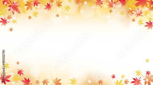 Red maple leaves with sunlight background