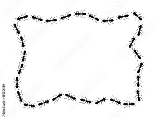 Black ants square border. Ants forming messy rectangular shape isolated in white background. Vector illustration