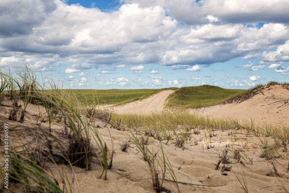 Sand Dunes in Provincetown, Massachusetts